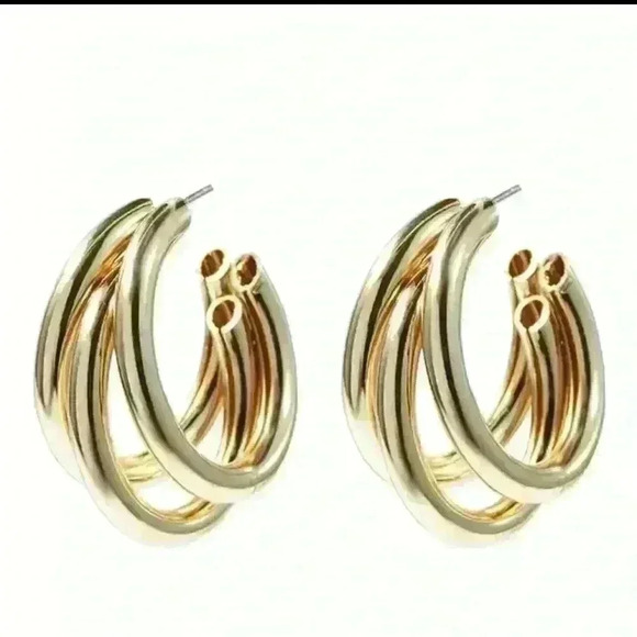 Elegant Layered Hoop Earrings - Picture 2 of 3